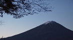 Lake Kawaguchi：河口湖